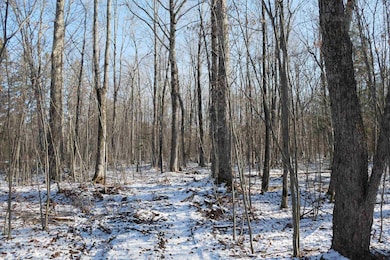 4.70 Acres Us Highway 8, Prentice, WI 54556 - photo 4