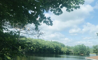 47 Gile Pond Rd, Franklin, NH 03235 - photo 5