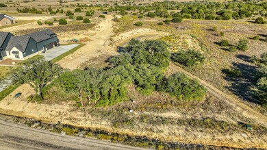 1047 Kingsley Ct, Weatherford, TX 76087 - photo 4