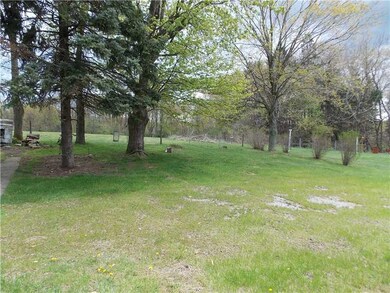 Yard/Garden.