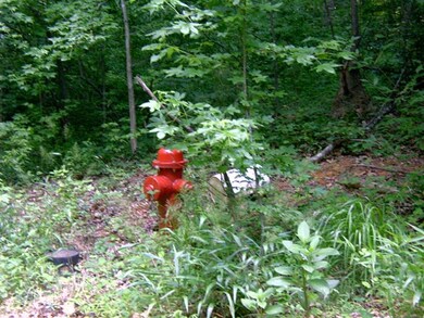 0 3rd St unit 9-12, Victoria, VA 23974 - photo 3