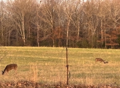 View of nature featuring a rural view