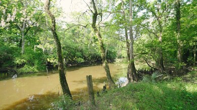 0 E River Rd unit 154466, Jacksonville, GA 31544 - photo 7