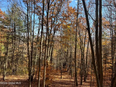 IMG_1493 (1)
