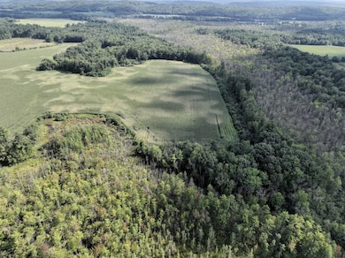 E853 Bestul Rd, Scandinavia, WI 54977 - photo 3