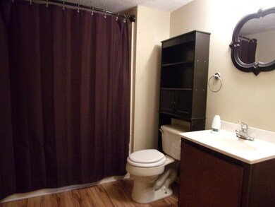 7845 Reynoldsburg Rd, Springville, TN 38256 - photo 5