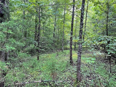 00 N Little River Rd, Salem, SC 29676 - photo 6