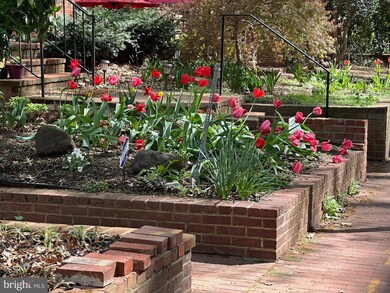 900 24th St NW unit P, Washington, DC 20037 - photo 2