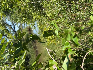 0 E Belle Fontaine Dr unit 2019001044, Ocean Springs, MS 39564 - photo 5