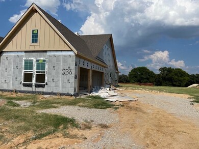 236 Zebrastone Way, Poolville, TX 76487 - photo 3