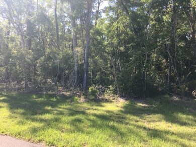 0 Coastal Highway 98 Hwy unit 305928, Crawfordville, FL 32327 - photo 2