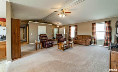 1010 N Sherman St, Lincoln, IL 62656 - photo 6