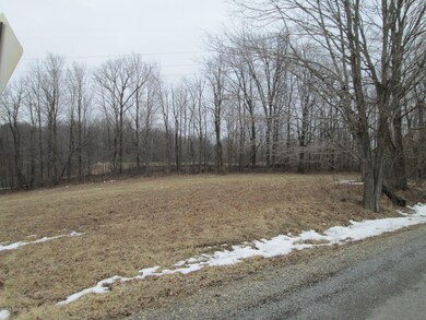 0000 W Wagner Rd, Glendora, MI 49107 - photo 3