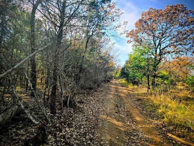 60 SE 136th Rd, Bengal, OK 74563 - photo 2