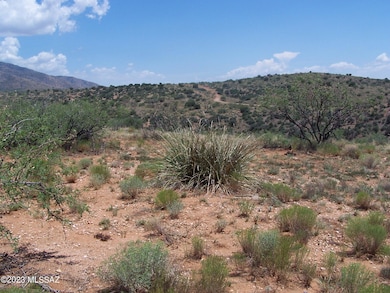 74.66ac 2 Lots Highpoint Rach unit 303-311, Willcox, AZ 85643 - photo 7