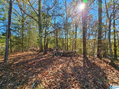 397 Chicksaw Trail unit 17, Ohatchee, AL 36271 - photo 3