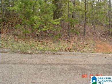 000 Timothy Dr, Oxford, AL 36203 - photo 3