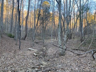 0000 Mallard Rd unit 357, Lake Lure, NC 28746 - photo 3