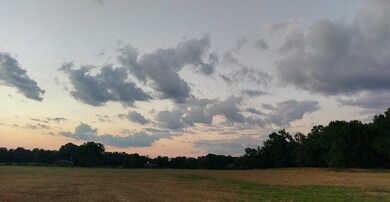 Lots 3&4 Parragon Rd, Cookeville, TN 38506 - photo 3