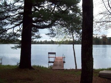 1222 Brandy Lake Rd, Woodruff, WI 54568 - photo 5