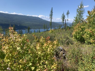 Nhh Cougar Flats Rd, Bigfork, MT 59911 - photo 6