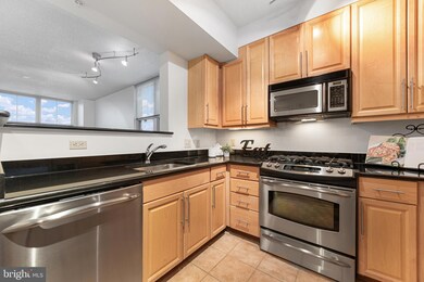 11760 Sunrise Valley Dr unit 903, Reston, VA 20191 - photo 6