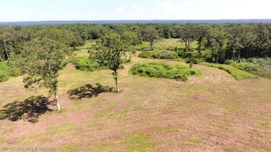 TBD James Rd, Charleston, AR 72933 - photo 2