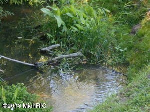 creek pic