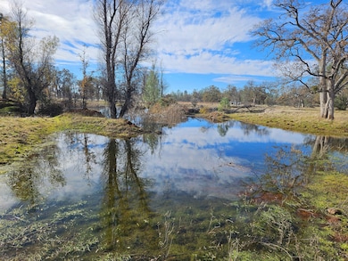 41 acres Ash Creek Rd, Anderson, CA 96007 - photo 5