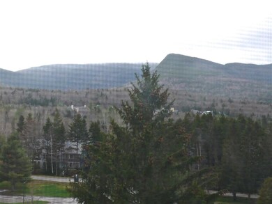 28 Packard Rd unit 631, Waterville Valley, NH 03215 - photo 5