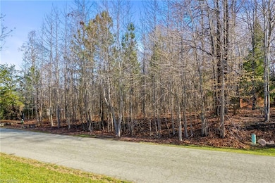 3927 Fox Grove Trail, Greensboro, NC 27406 - photo 7