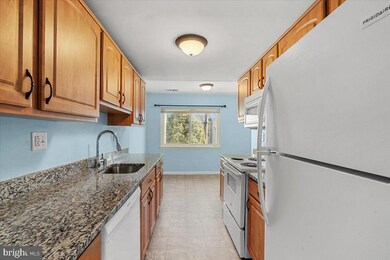 8613 Sacramento Dr, Alexandria, VA 22309 - photo 4