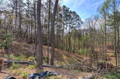 View of local wilderness