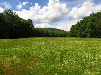 Fields behind property