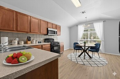 267 Waterloo Dr, Kyle, TX 78640 - photo 4