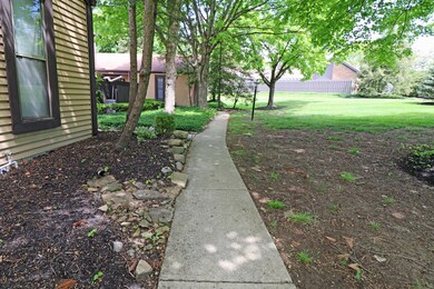 IMG_1371 copy