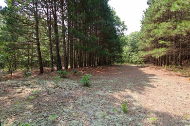 10 Acres 3rd, Coloma, WI 54930 - photo 5