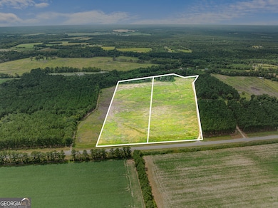 APPRX 34.2 ACRE Highway 301 N, Statesboro, GA 30458 - photo 2