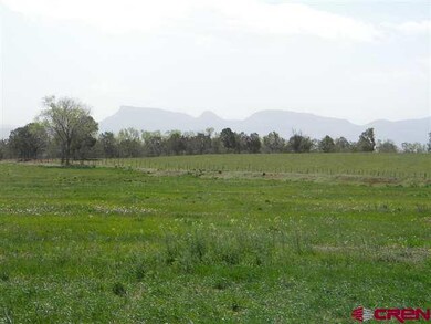 0 Road N 8 Loop Lot unit 13 705598, Cortez, CO 81321 - photo 2