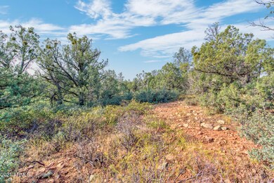 811 E Phoenix Street (4)