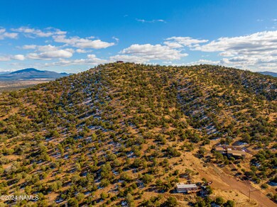 Aerial Lot View