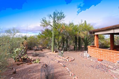 Lots of saguaros.