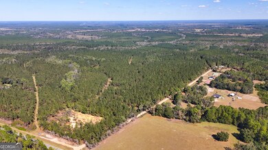 0 W 4th Street Extension unit 10650393, Alma, GA 31510 - photo 3