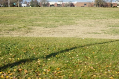 1147 Dixie Hwy, Beecher, IL 60401 - photo 5