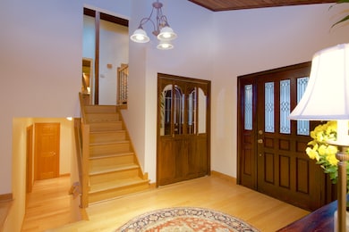 2324 Lisson Rd, Naperville, IL 60565 - photo 5