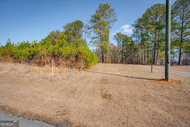 0 John Kay Rd unit 10451216, Taylorsville, GA 30178 - photo 2