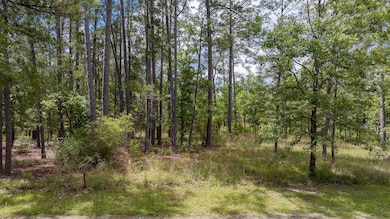 DJI_20250512105615_0020_D