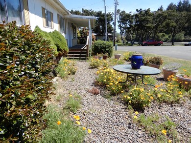 Front yard