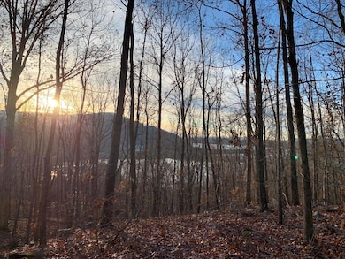 WhatsApp Image 2024-08-06 at 3.24.38 AM