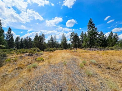 0 Swan Dr unit 16 & 17 220209213, Bonanza, OR 97623 - photo 7